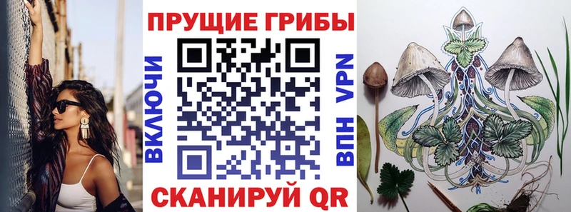 KRAKEN ССЫЛКА Белореченск Галлюциногенные грибы GOLDEN TEACHER