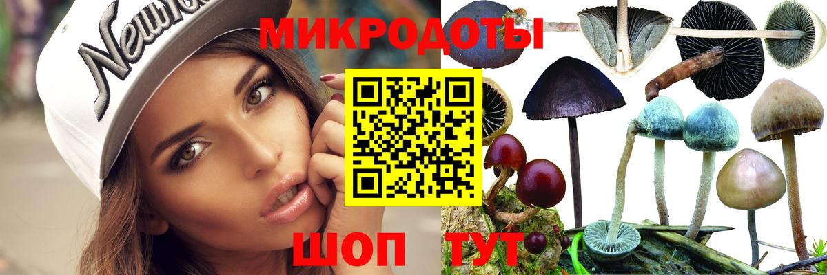 цена   Галлюциногенные грибы Cubensis  Вход с VPN  Белореченск 
